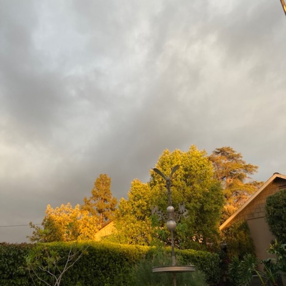 Vintage Dooney & Bourke Pebble Leather Bag - Picture 12 of 12